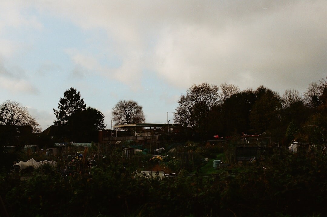 community garden meeting